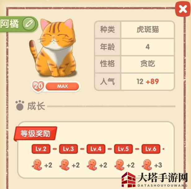《猫语咖啡》阿橘技能攻略