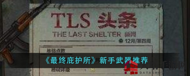 《最终庇护所》新手武器推荐