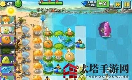 《植物大战僵尸2》巨浪沙滩第二十一关攻略