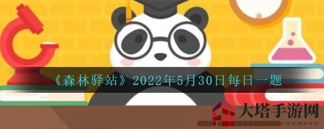 《森林驿站》2022年5月30日每日一题