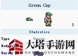 《泰拉瑞亚》神秘“原谅帽”：安德鲁的调皮礼物，穿越马里奥风潮