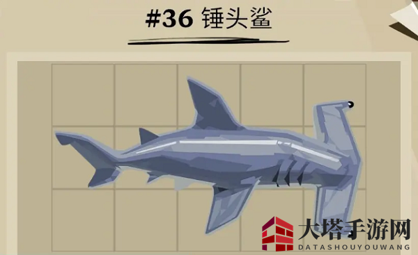 《渔帆暗涌》锤头鲨位置一览