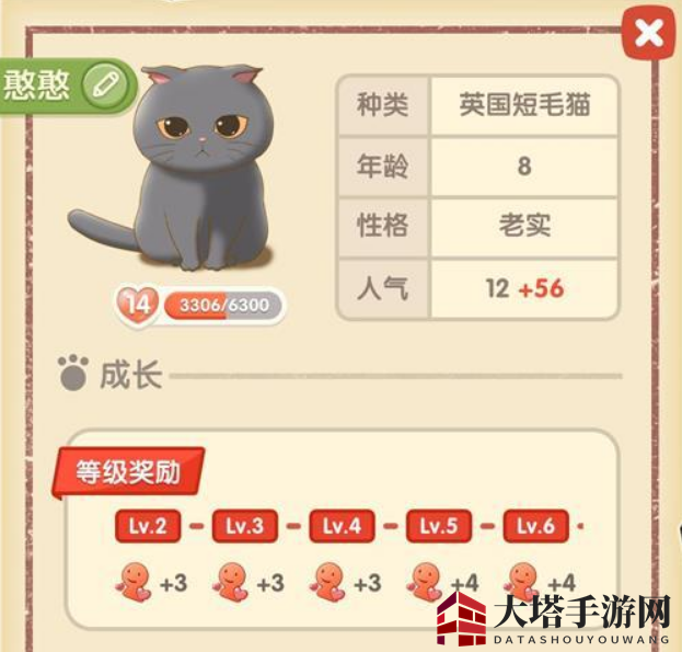 《猫语咖啡》憨憨技能攻略