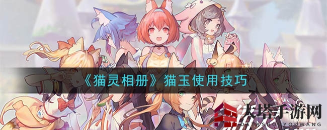 《猫灵相册》猫玉高效攻略：五大绝妙用法解析，轻松提升游戏体验
