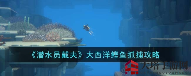 《潜水员戴夫》揭秘大西洋鲣鱼捕捞技巧与神秘栖息地