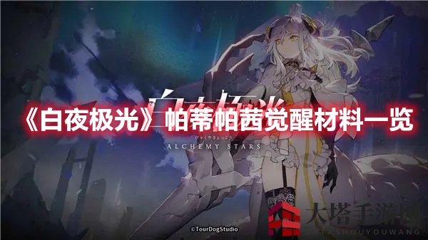 《白夜极光》帕蒂帕茜觉醒材料详览