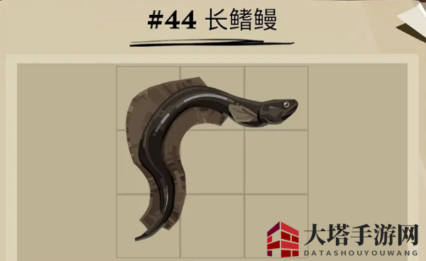 《渔帆暗涌》长鳍鳗藏身地详探