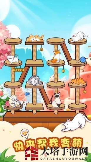 《猫屋日记》真的可以赚钱吗