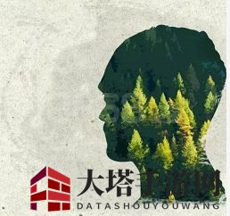 《梦幻西游手游》复活技能杨柳甘露新用法攻略