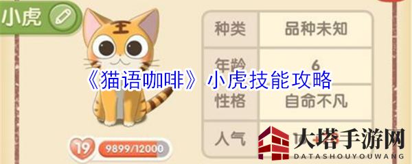 《猫语咖啡》手游揭秘：神秘小虎独门绝技助力咖啡馆经营