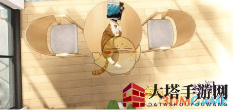 《梦间集：天鹅座》吸引猫猫攻略