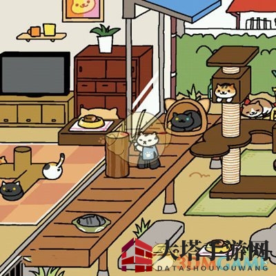 《猫咪后院》神秘驱猫术，静享宁静空间