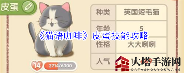 猫咪咖啡馆里的美食探索：揭秘皮蛋的奇妙食趣技能