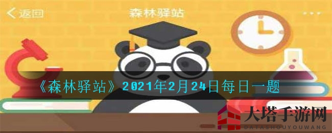 《森林驿站》揭秘每日一题：科莫多龙竟是大蜥蜴？快来探索！