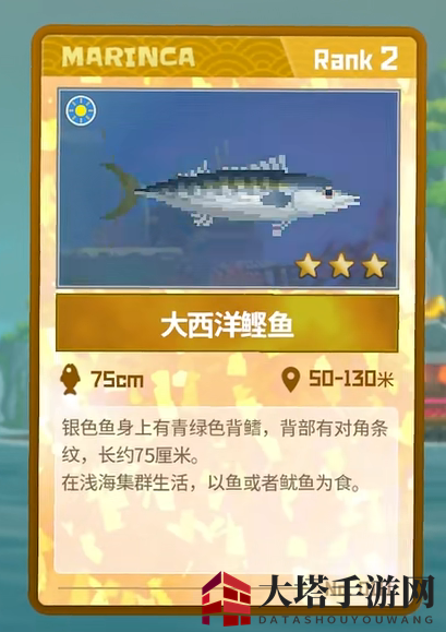 《潜水员戴夫》大西洋鲣鱼抓捕攻略