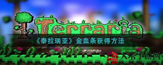 《泰拉瑞亚》血量升级秘籍：金心觉醒之路