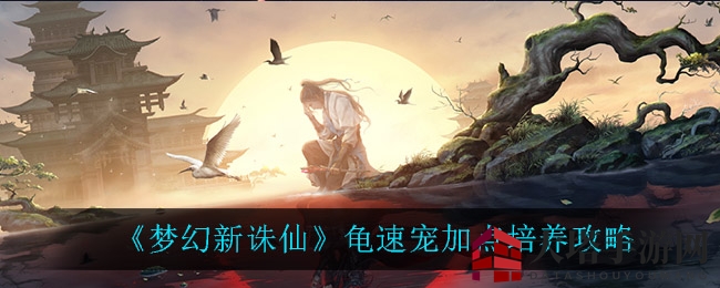 《梦幻新诛仙》龟速宠攻略：属性加点与培育技巧大揭秘