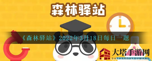 《森林驿站》揭秘：大熊猫孕育期仅4-5月，科普知识等你来挑战