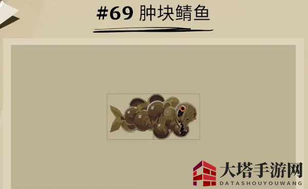 《渔帆暗涌》肿块鲭鱼位置一览