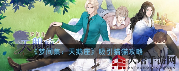 《梦间集天鹅座》猫猫互动攻略：解锁抚摸技巧，轻松吸引名猫入住