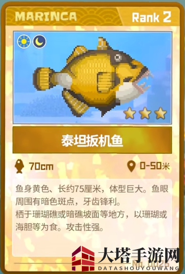 《潜水员戴夫》泰坦扳机鱼抓捕攻略