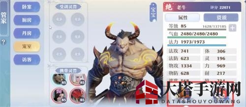 《梦幻新诛仙》宠室功能解析