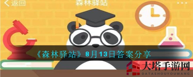 《森林驿站》8月13日答案分享