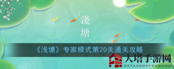 《浅塘》专家模式第20关破解攻略大揭秘，脑力激战等你挑战！