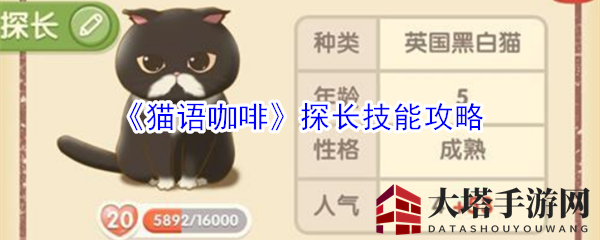 《猫语咖啡》探长技能攻略