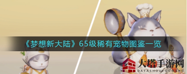《梦想新大陆》揭秘：65级珍稀坐骑图鉴全解密，独特技能助力战斗