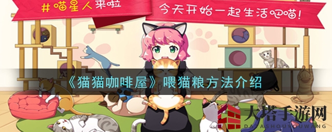 《猫猫咖啡屋》喂猫粮方法介绍
