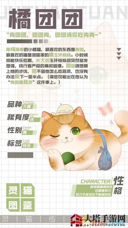 《灵猫传》橘团团角色解析