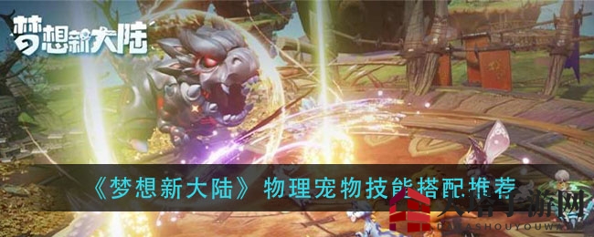 《梦想新大陆》物理宠物技能搭配推荐