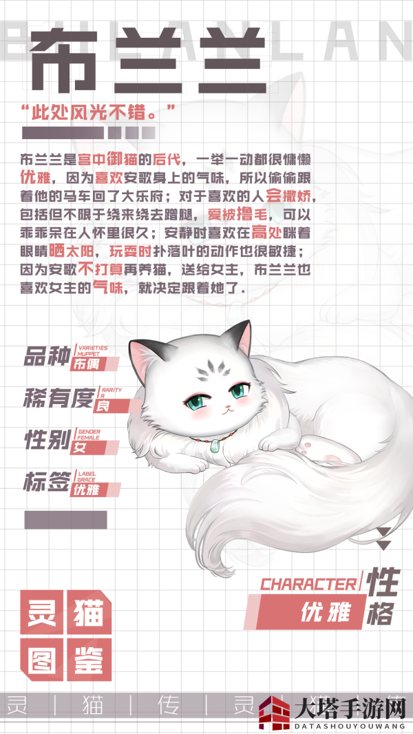 《灵猫传》布兰兰获取方法