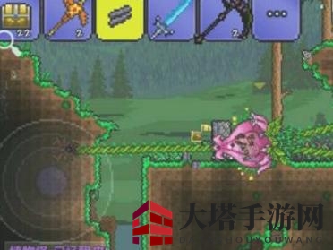 《泰拉瑞亚》花苞获取方法介绍