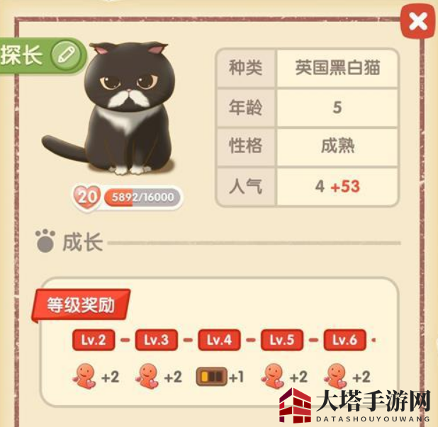 《猫语咖啡》探长技能攻略