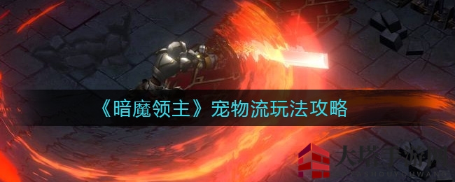 《暗魔领主》宠物收集攻略全解析：独家装备搭配助你轻松集齐！