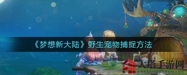 《梦想新大陆》揭秘：捕捉萌宠独门秘术，升级攻略大公开！