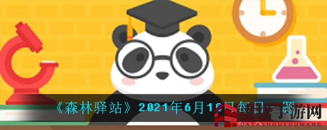探秘森林驿站：揭秘长鼻猴的饮食谜题，甜果避而不食！