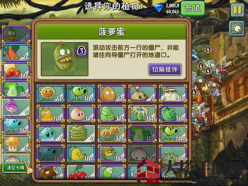 《植物大战僵尸2》失落之城第14关：菠萝蜜组合攻略，全屏秒杀僵尸！