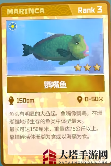 《潜水员戴夫》鹦嘴鱼抓捕攻略