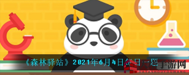 森林驿站揭秘：大象非反刍，每日一题等你来挑战
