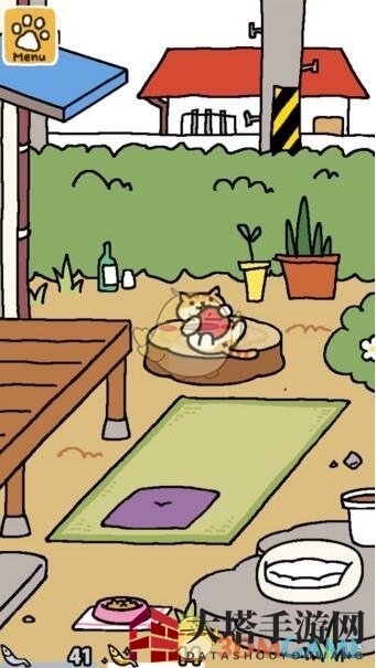 猫咪后宫，独门秘籍解锁招猫大法
