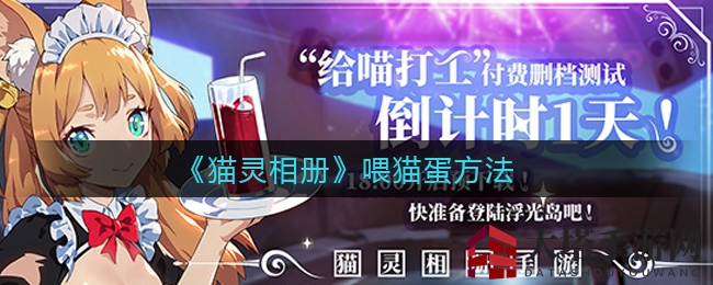 《猫灵相册》揭秘：养猫蛋高招，解锁神秘旅程