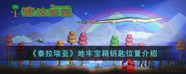 《泰拉瑞亚》探险秘钥大揭秘：解锁地牢宝藏之旅