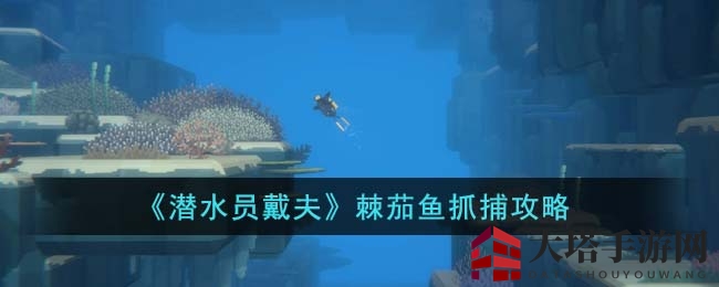 深海奇遇：揭秘《潜水员戴夫》棘茄鱼捕捞攻略