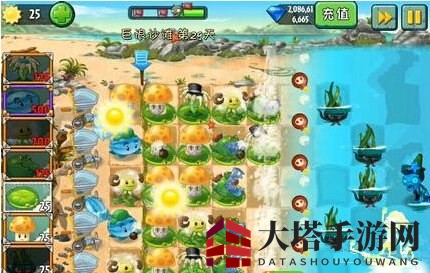 《植物大战僵尸2》巨浪沙滩第二十九关攻略