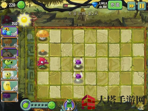 《植物大战僵尸2》失落之城第三关攻略