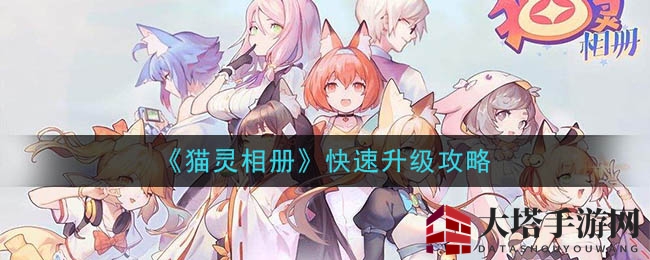 《猫灵相册》升级攻略：揭秘高效秘籍，轻松提升实力
