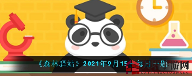 《森林驿站》雪兔谜踪，爆米花之地等你揭晓
